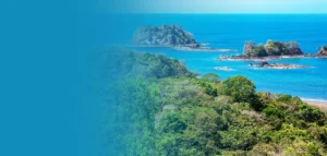 Lost Islotes, Lief Simon's own development in Panama
